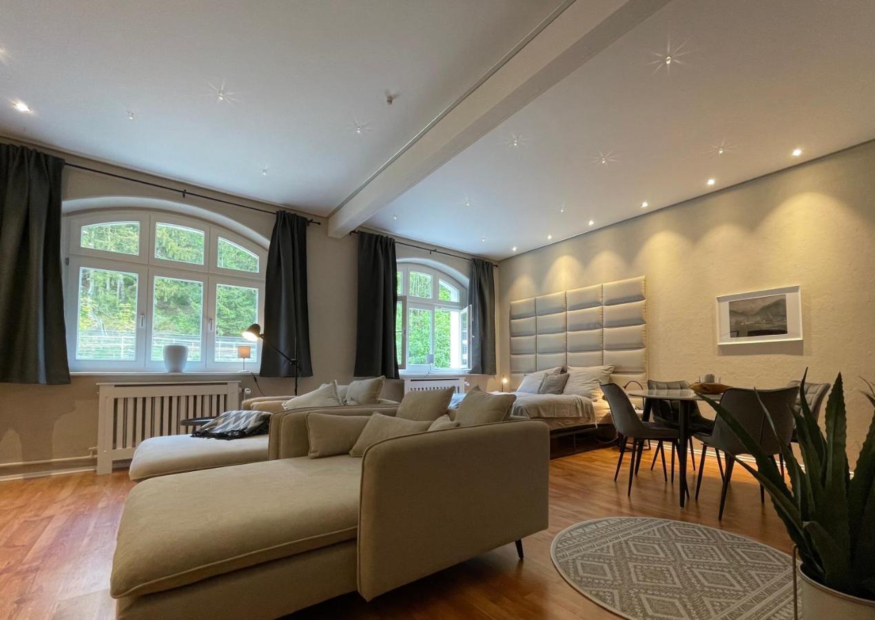 Appartamento Bergrauschen - Waldloft - Preise Inklusive Waesche Goslar Esterno foto
