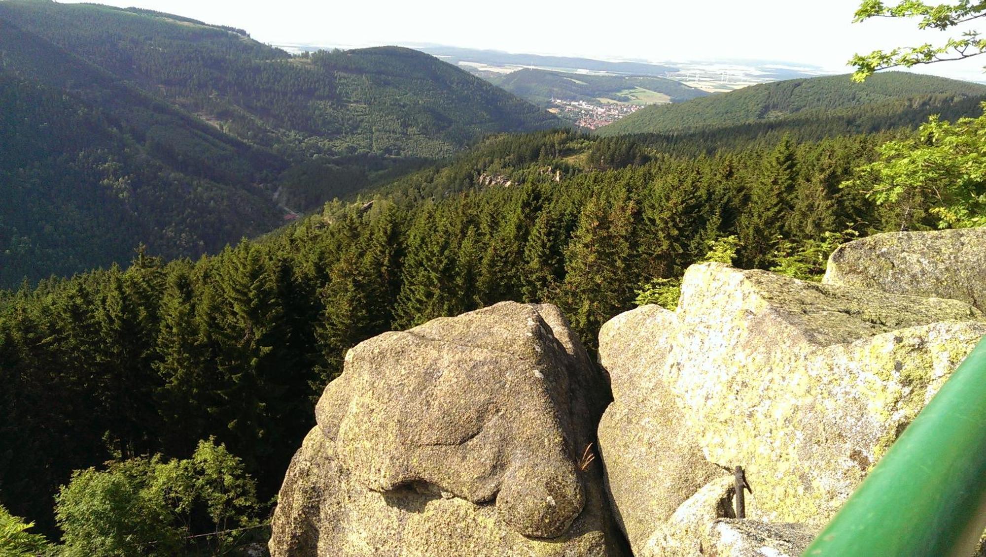 Appartamento Bergrauschen - Waldloft - Preise Inklusive Waesche Goslar Esterno foto